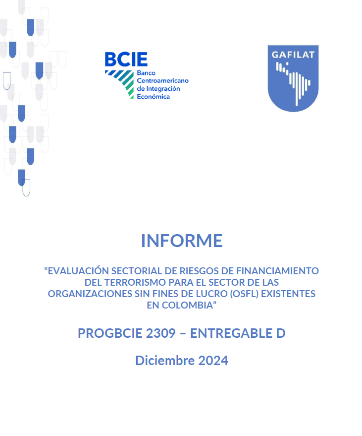 Informe de la ESR de FT para el sector de OSFL en Colombia